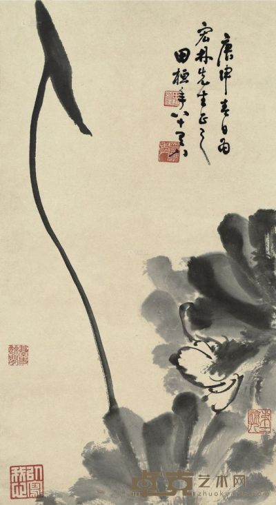 田桓 庚申（1980）年作 新荷图 立轴 60×34cm