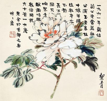 胡絜青 白牡丹 镜片