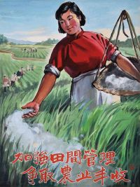 彭召民 1963年作 加强田间管理，争取农业丰收