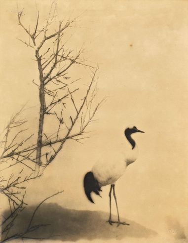 郎静山 1965年作 以介眉寿