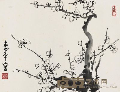 董寿平 1982年作 墨梅 镜心 34×45.5cm