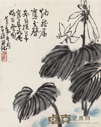 李苦禅 1973年作 玉簪花 镜心 51×40.5cm