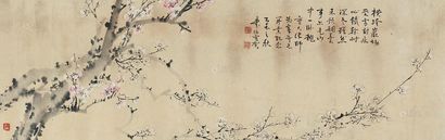陶寿伯 1955年作 梅花 横批