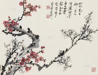 陶寿伯 花卉 镜片