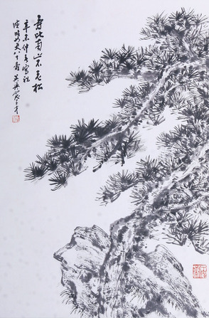 俞子才松树