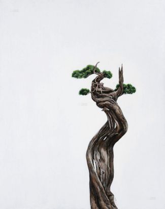 胡文丹 2012年作 木