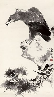康宁 雄视 镜片