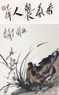 范扬 幽兰 镜片