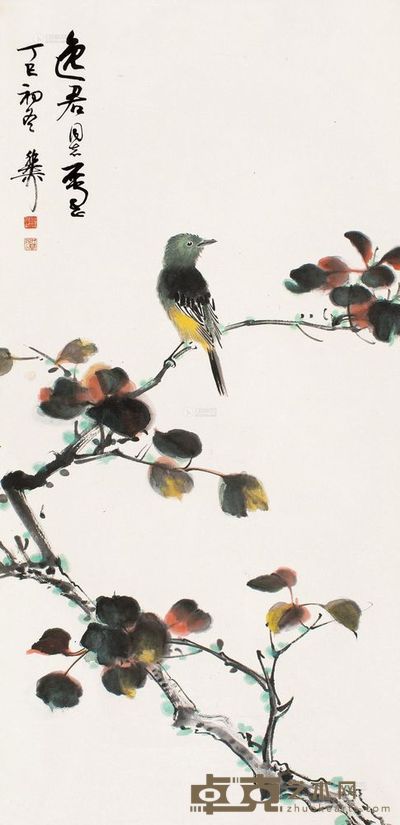 谢稚柳 1977年作 秋叶黄鸰 立轴 87×42cm