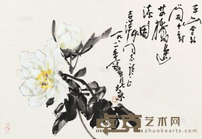 高冠华 1981年作 花卉 镜心 40×58.5cm