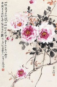 杨善深 月季花 立轴