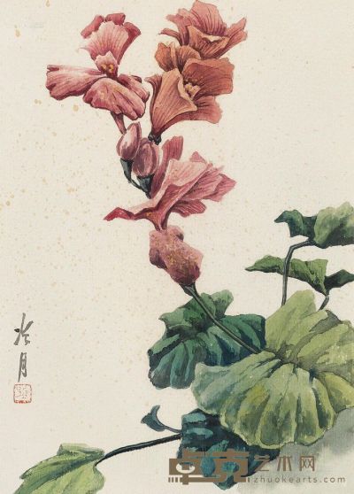 陶冷月 木槿花 27×19cm