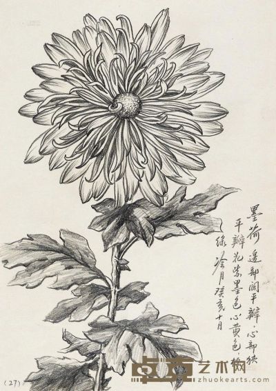 陶冷月 1923年作 墨荷 27×18.5cm