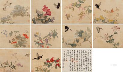 范金镛 丙戌（1886年）作 花蝶 册页 （十开）