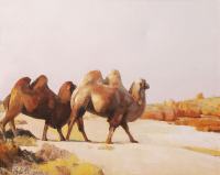 张春亮 骆驼
