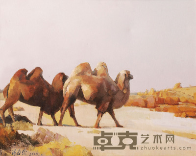 张春亮 骆驼 48×60