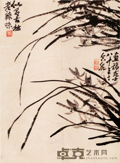 萧龙士 兰草 41×29