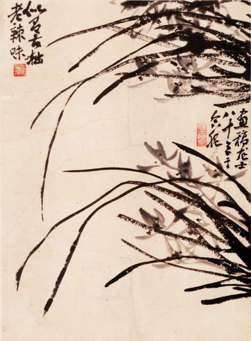 萧龙士 兰草