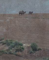 汪志杰 1987年作 灰色戈壁上的野骆