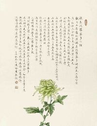 喻慧　心经菊花