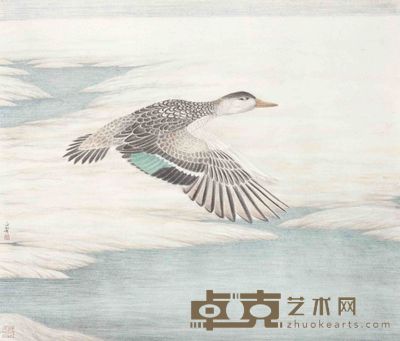 杨立奇　翔 57×66.5cm