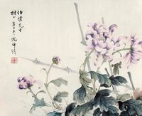 沈仲强 菊 镜片