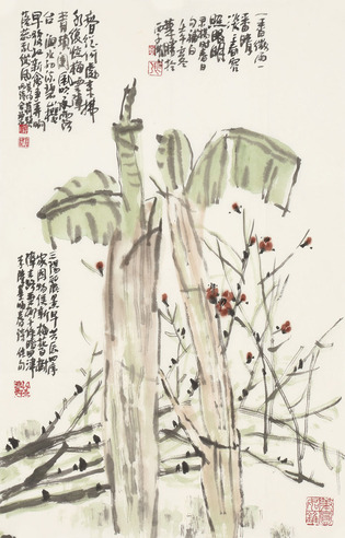 张华胜 芭蕉