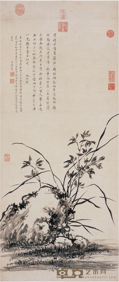 蒋廷锡  兰石图 103×44cm