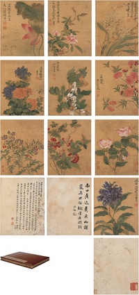 恽寿平（款）  花卉册