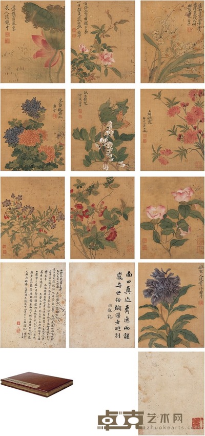 恽寿平（款）  花卉册 画心：24×19cm×10 题跋：92×22cm×2