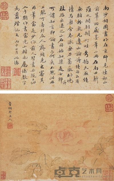 蒋廷锡  粉牡丹 20×26.5cm  20.5×26.5cm