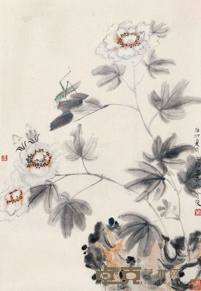 杨立奇 牡丹图 镜心 <em>37×54cm</em>