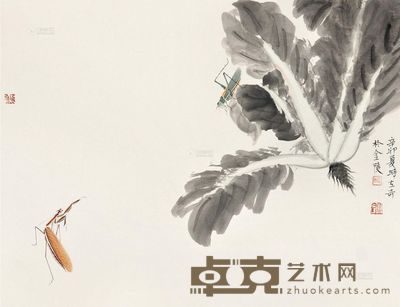 杨立奇 2011年作 白菜图 镜片 <em>31×42cm</em>