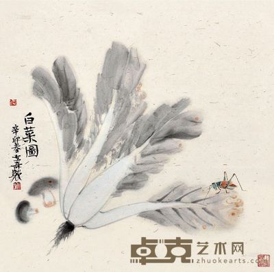 杨立奇 2011年作 白菜图 镜心 <em>42×42cm</em>