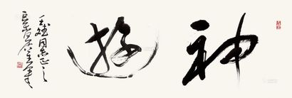 管峻 神游 镜片