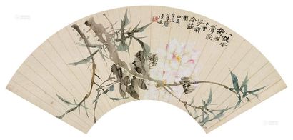 朱梦庐 花卉 扇面