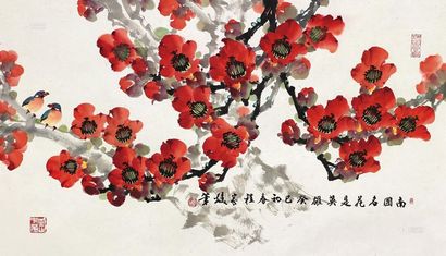 程家焕 红棉 镜片