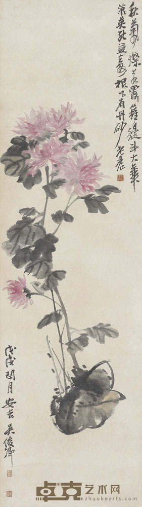 吴昌硕 菊花图 137×38