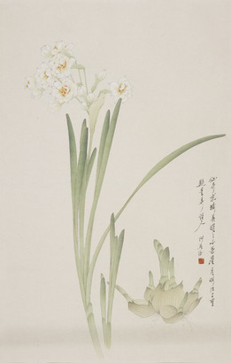 李长白 水仙花