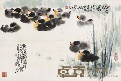 郑乃珖 1972年作 鸭趣图 立轴 46×69cm