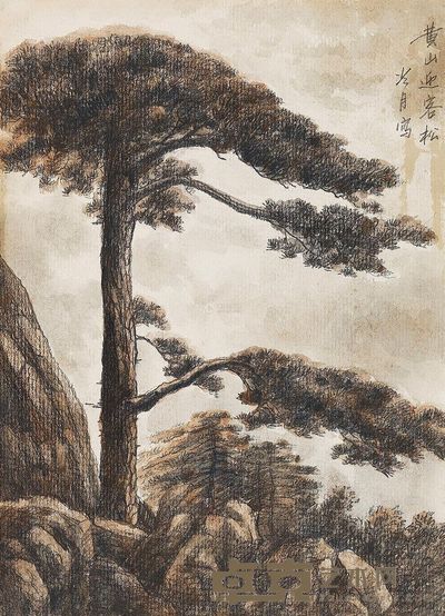 陶冷月 黄山迎客松 27×19.5cm