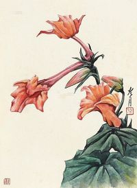 陶冷月 玉簪花