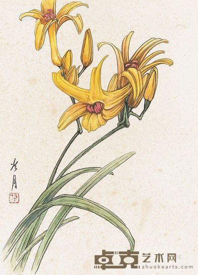 陶冷月 萱草 26.5×19cm