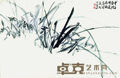 朱志元 兰草 47*72cm 约:3.05平尺