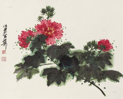 谢稚柳 芙蓉花 镜心