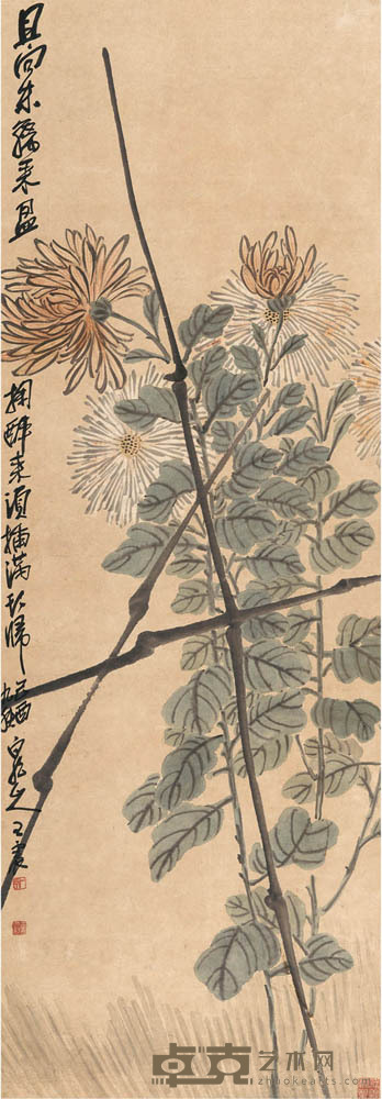 王一亭 菊花 111×38