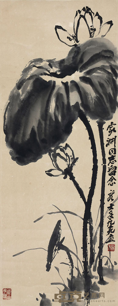 肖龙士 荷 33*85cm