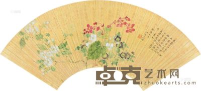马荃 蔷薇海棠 扇片 17×51cm