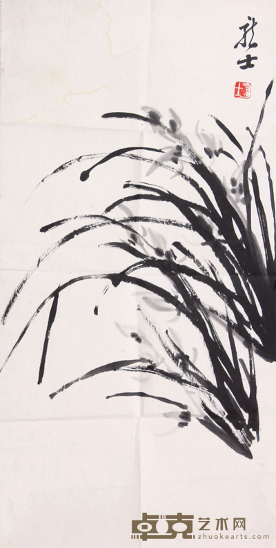 萧龙士 兰草软片 68×33