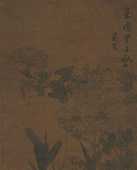 吴隽 菊花